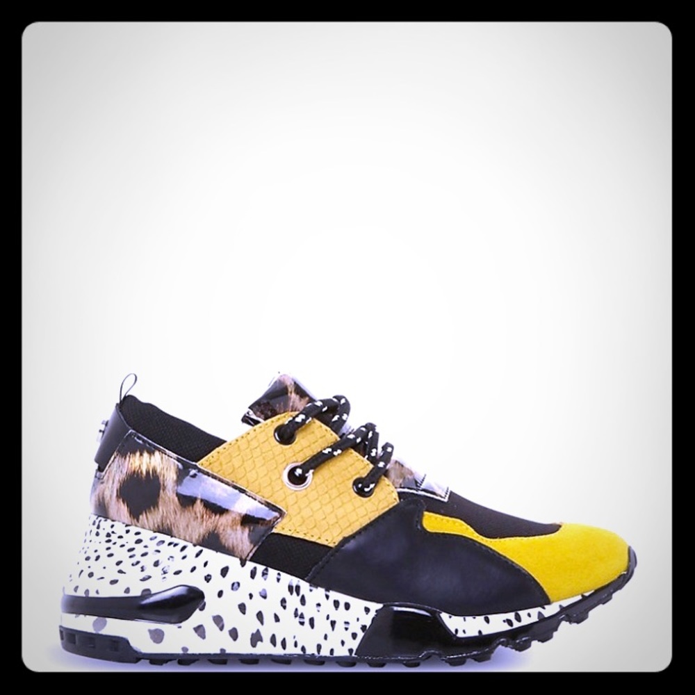 Steve Madden Cliff trainers